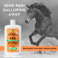 Absorbine Liniment Gel - 340G