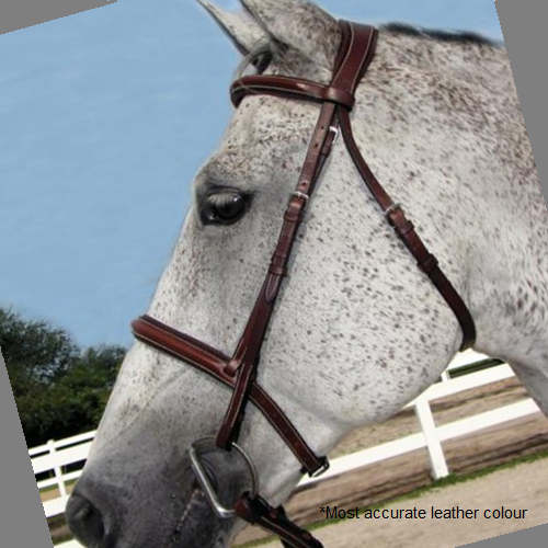 HDR Pro Stress Free Fancy Stitched Padded Bridle + Free Name Tag