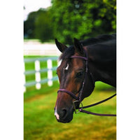 HDR Single Crown Plain Raised Bridle + Free Name Tag