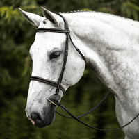 HDR Advantage Plain Raised Bridle with Reins + Free Name Tag