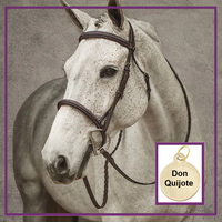 HDR Pro Stress Free Fancy Stitched Padded Bridle + Free Name Tag