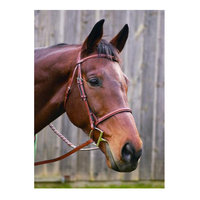 HDR Single Crown Plain Raised Bridle + Free Name Tag