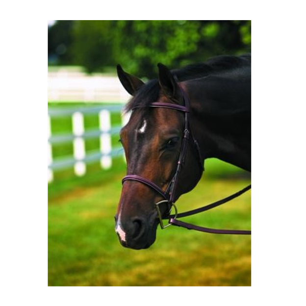 HDR Plain Raised Bridle - Free Name Tag