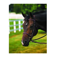 HDR Plain Raised Bridle - Free Name Tag
