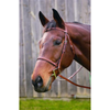 HDR Advantage Plain Raised Bridle with Reins + Free Name Tag