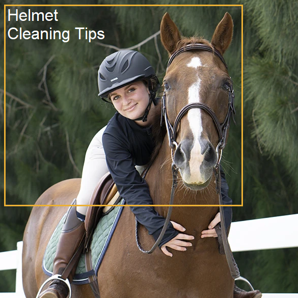 Troxel Odor Eliminator Helmet Spray