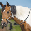 Mustang Deluxe Bitless Bridle