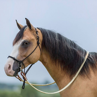 Mustang Bitless Halter Bridle