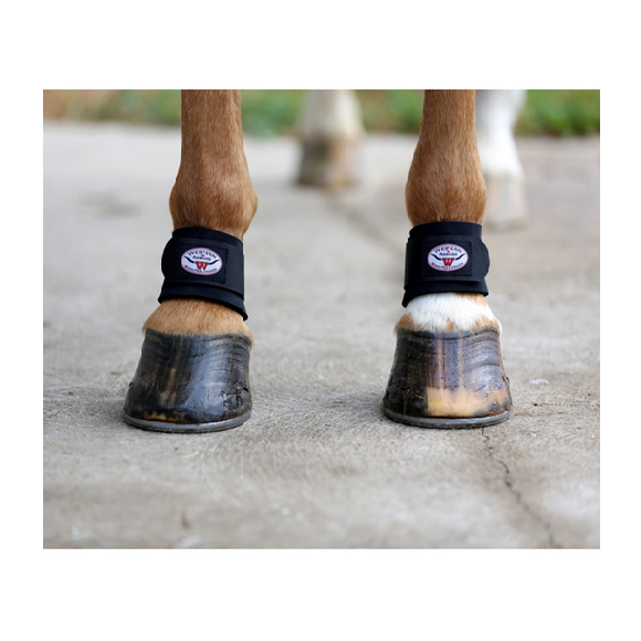 Pastern wraps for on sale horses