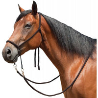 Mustang Bitless Bridle w/ Reins