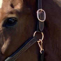 Padded Leather Halter w/ Rose Gold Hardware + FREE Custom Name Tag