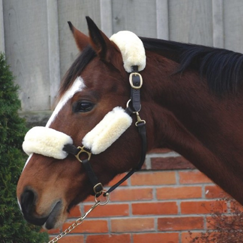 Sheepskin Halter Cover Set (4-Piece)