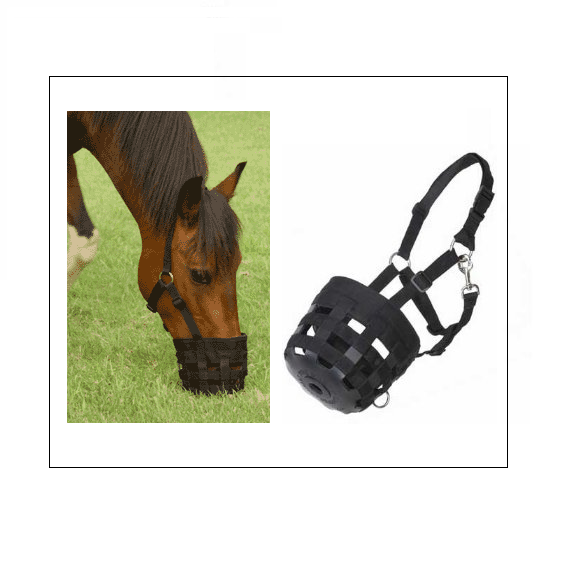 Neoprene Grazing Muzzle