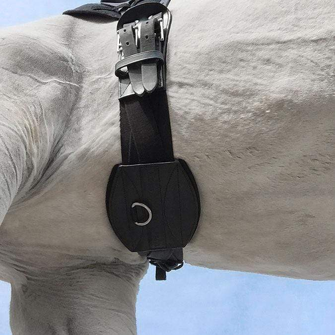 Tapestry Dressage Comfort Monoflap Girth – Picov's Tack Shop