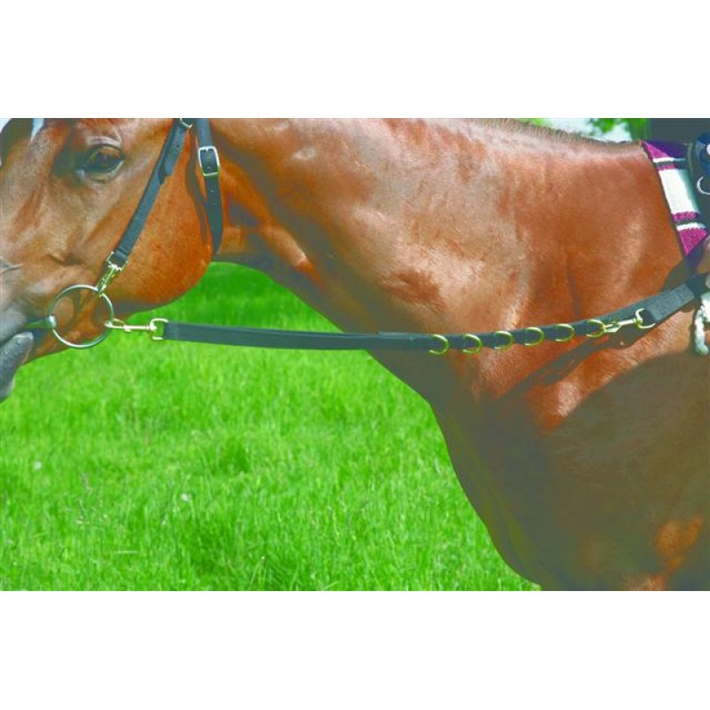 Web Side Reins with Elastic